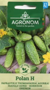 Kurk kornišon "Polan H" AGRONOM 0,5 g