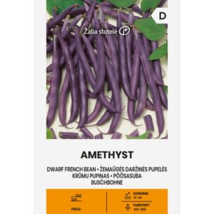 Aeduba Amethyst Žalia stotele 15 g