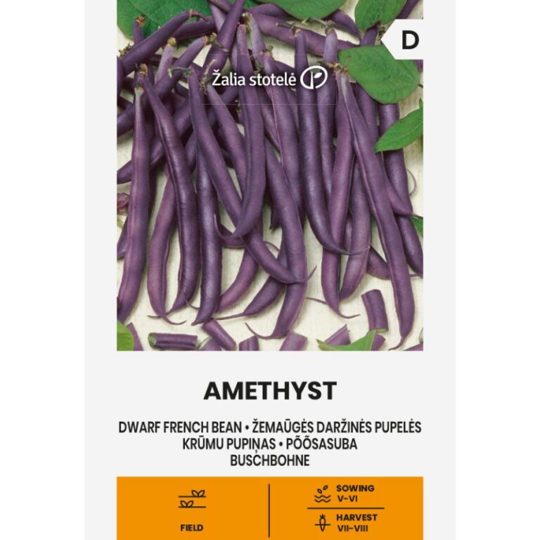 Daržinės pupelės Amethyst Žalia stotele 15 g