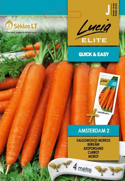 Carrot "Amsterdam 2" Lucia ELITE 4 m