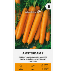 Porgand "Amsterdam 2" Žalia stotele 3 g