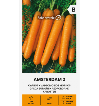 Burkāns "Amsterdam 2" Žalia stotele 3 g