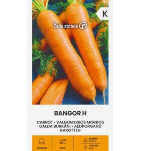 Porgand "Bangor H" Žalia stotele 1 g