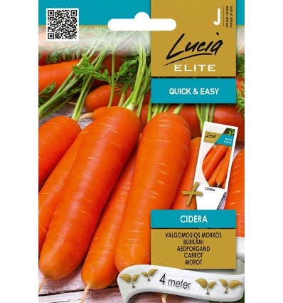 Burkāns "Cidera" Lucia ELITE 4 m
