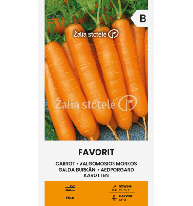 Carrot "Favorit" Žalia stotele 3 g
