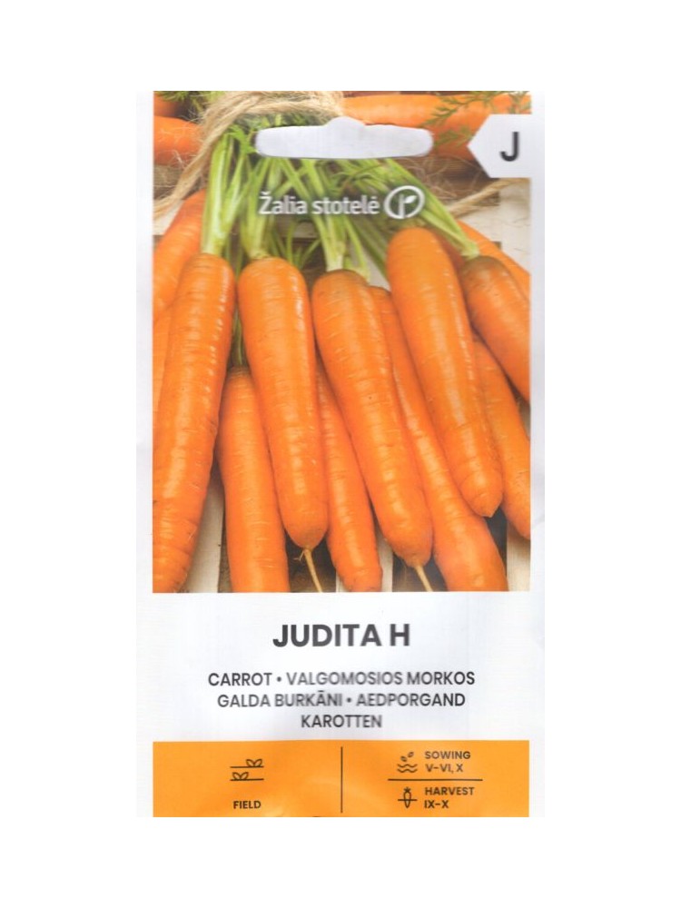 Carrot "Judita H" Žalia stotele 2 g