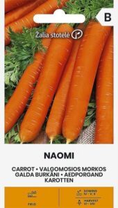 Porgand "Naomi" Žalia stotele 3 g