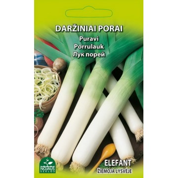 Лук-порей "Elefant" NOJAUS SEKLOS 1 г