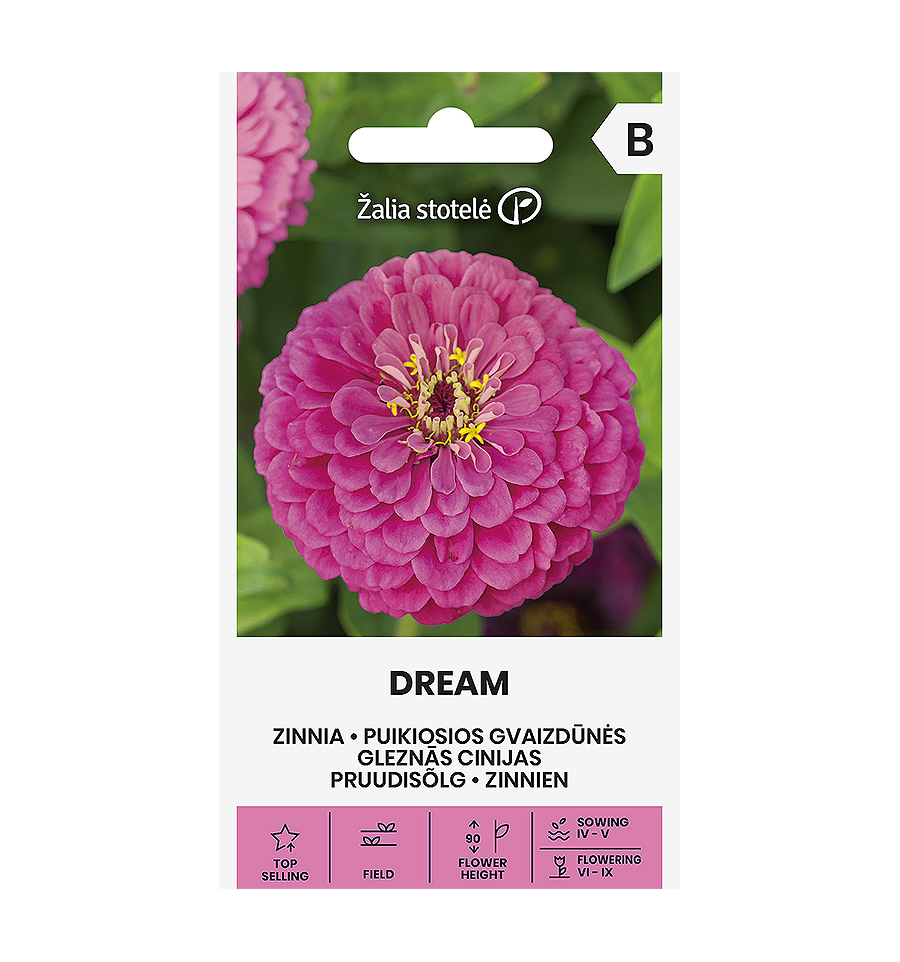 Gvaizdūnė "Dream" Žalia stotele 1 g