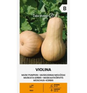 Muskaatkõrvits "Violina" Žalia stotele 2 g
