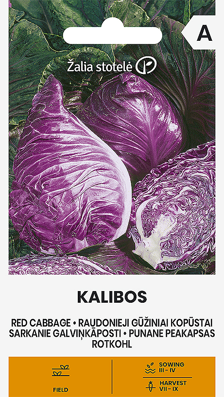 Red head cabbage "Kalibos" Žalia stotele 1 g