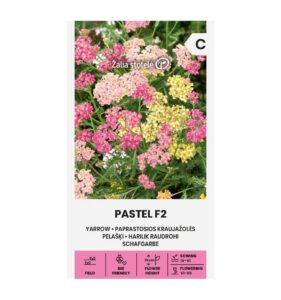 Harilik raudrohi "Pastel F2" Žalia stotele 0,2 g