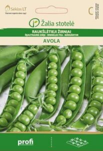 Zirnis "Avola" Žalia stotele 20 g