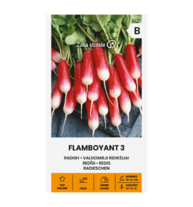 Редис "Flamboyant 3" Žalia stotele 5 г
