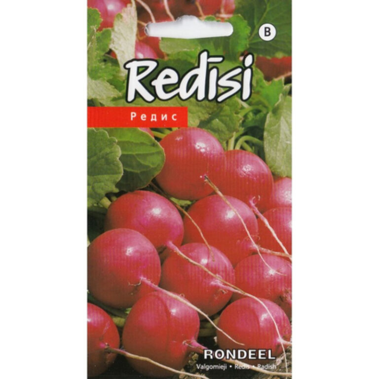 Redis "Rondeel" KURZEMES SĒKLAS 3 g