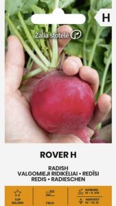 Редис "Rover H" Žalia stotele 3 г