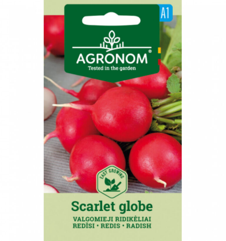Redis "Scarlet Globe" AGRONOM 4 g