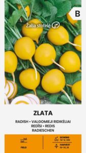 Редис "Zlata" Žalia stotele 5 г