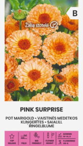 Saialill "Pink Surprise" Žalia stotele 2 g