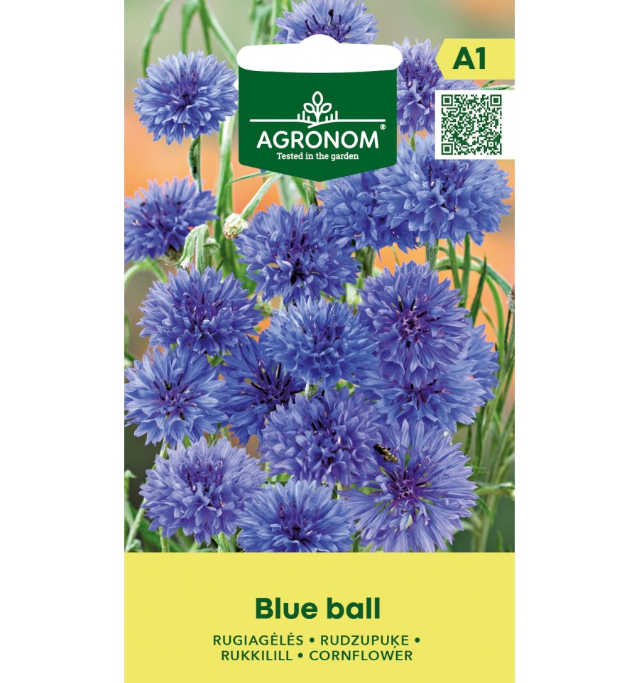Rugiagėlė "Blue Ball" AGRONOM 1 g