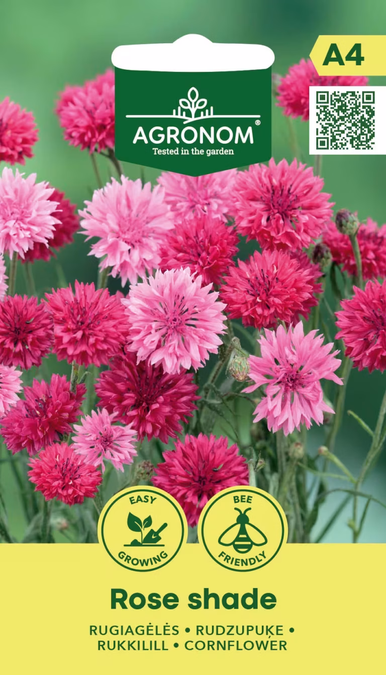 Ruiskukka "Rose Shade" AGRONOM 1 g