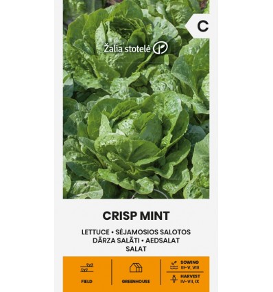 Puutarhasalaatti "Crisp Mint" Žalia stotele 1 g
