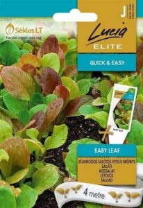 Baby leaf salatisegu seemnelindil 4 m Lucia ELITE