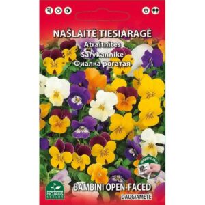 Sarvkannike "Bambini Open-Faced" NOJAUS SEKLOS 0,1 g