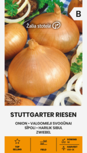 Onion "Stuttgarter Riesen" Žalia stotele 3 g