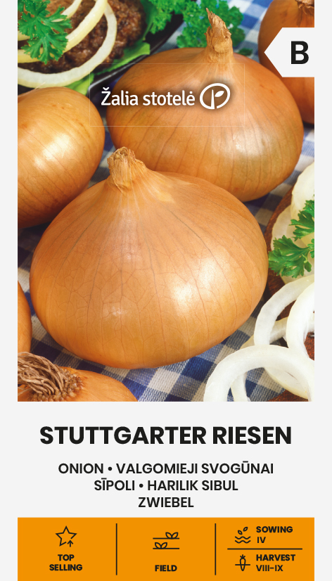 Sibul "Stuttgarter Riesen" Žalia stotele 3 g