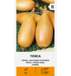 Onion "Tosca" Žalia stotele 1 g