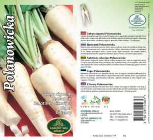 Chicory "Polanowicka" KURZEMES SĒKLAS 1 g