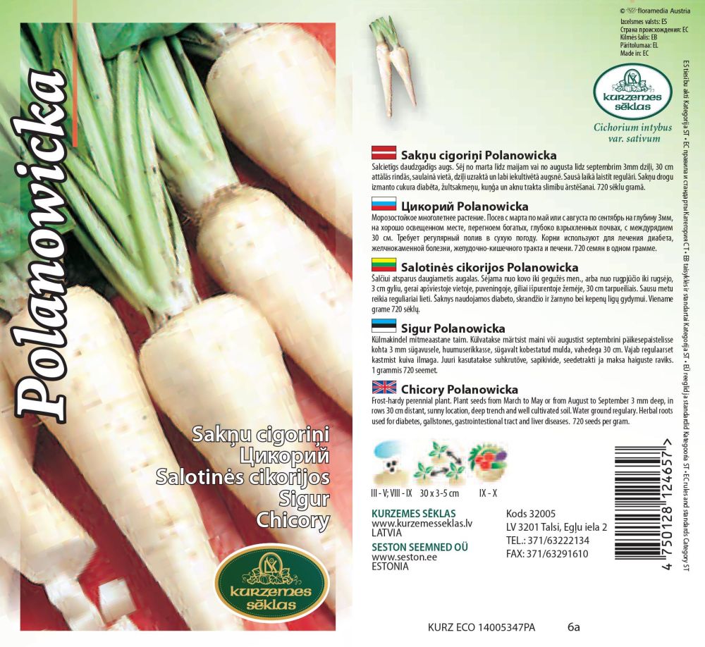 Chicory "Polanowicka" KURZEMES SĒKLAS 1 g