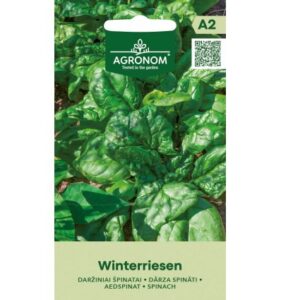 Aedspinat "Winterriesen" AGRONOM 2 g