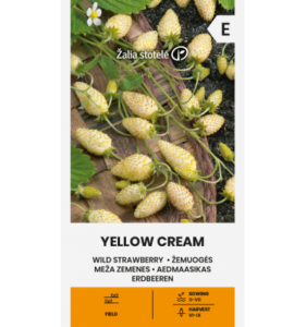 Клубника садовая "Yellow cream", 1 г, Žalia stotelė