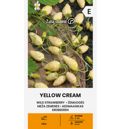 Puutarhamansikka "Yellow cream" Žalia stotele 1 g