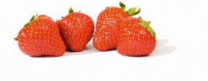 Fragaria ananassa "Opera"