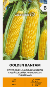 Suhkrumais "Golden Bantam" Žalia stotele 10 g
