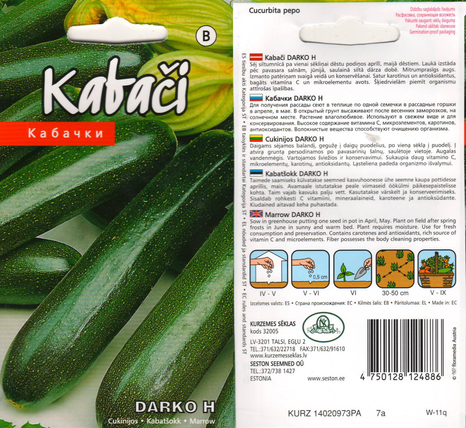 Kabatšokk "Darko H" KURZEMES SĒKLAS 5 s.