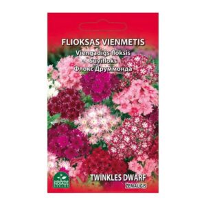 Suvifloks kääbus "Twinkles Dwarf" NOJAUS SEKLOS 0,3 g