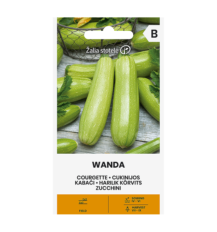 Moliūgas "Wanda" Žalia stotele 2 g