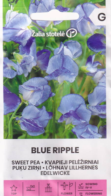 Tuoksuherne "Blue Ripple" Žalia stotele 2 g