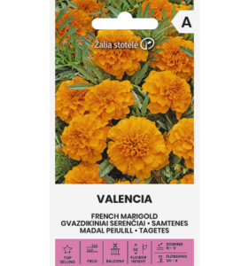 Madal peiulill "Valencia" Žalia stotele 1 g