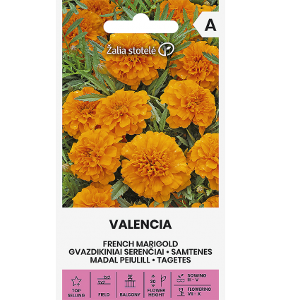 Zemās samtenes "Valencia" Žalia stotele 1 g