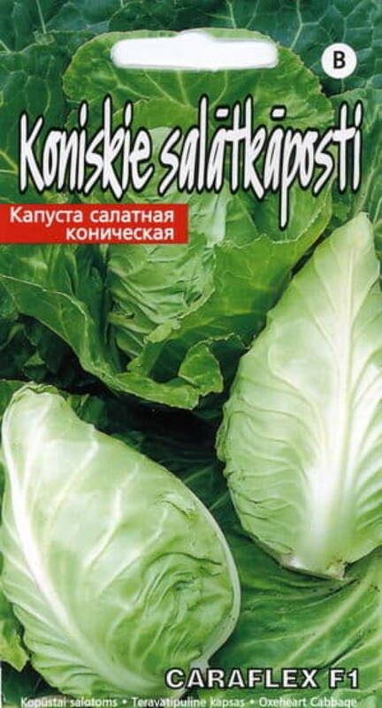 Pointed cabbage "Caraflex F1" 30 seeds