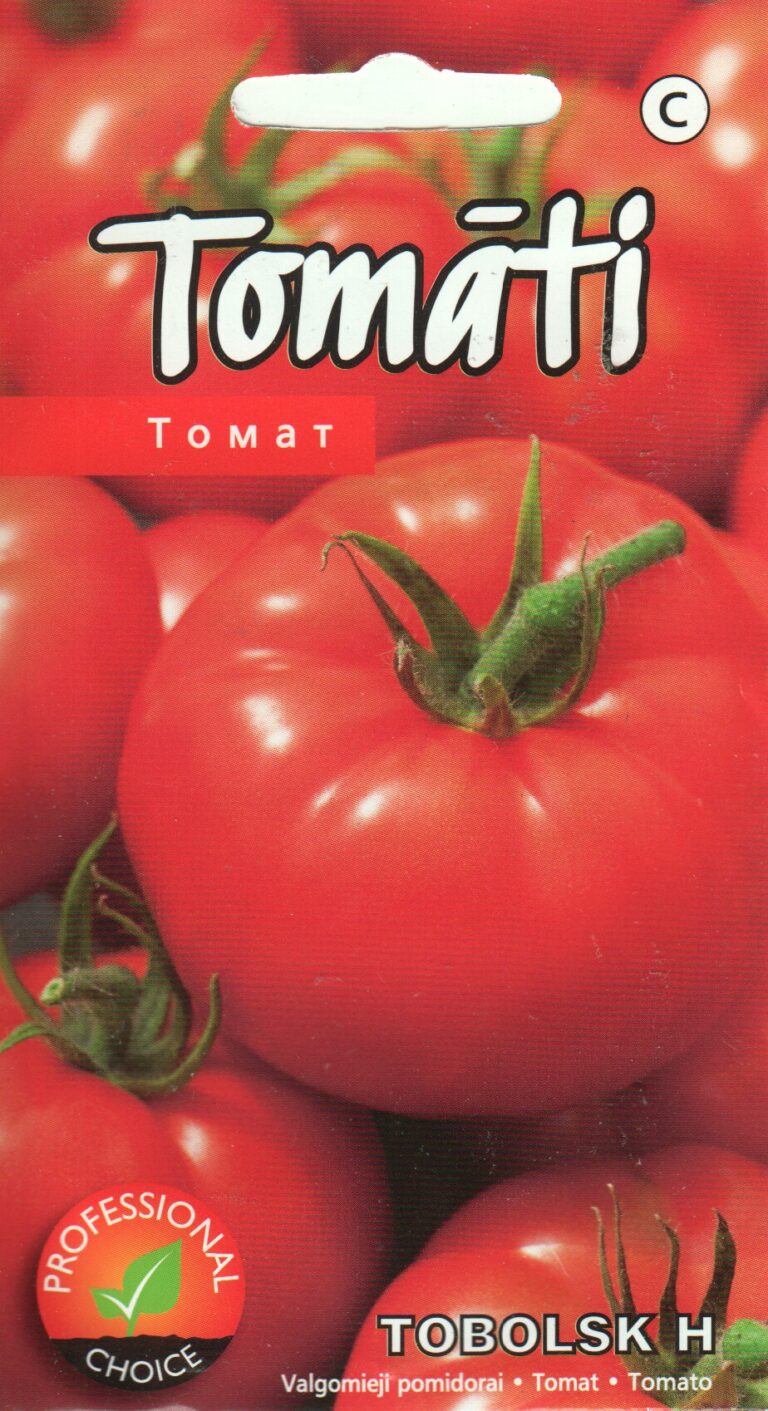 Tomat "Tobolsk H" KURZEMES SĒKLAS 7 s.