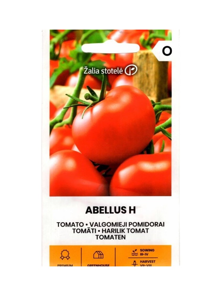 Tomato "Abellus H" Žalia stotele 10 s.