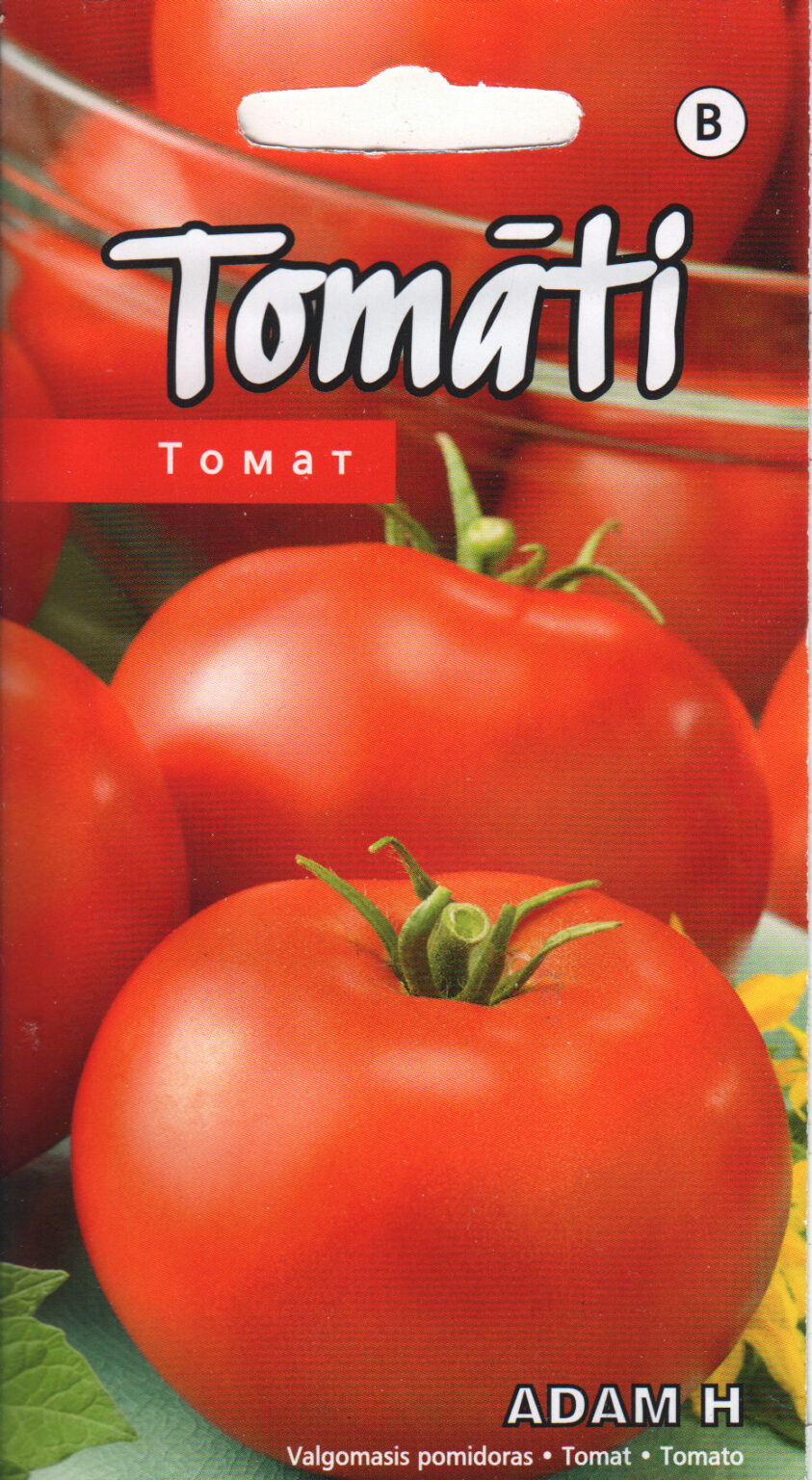 Tomaatti "Adam H" KURZEMES SĒKLAS 0,1 g