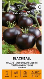 Pomidoras "Blackball" Žalia stotele 0,2g
