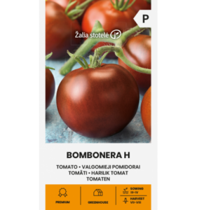 Pomidoras "Bombonera H" Žalia stotele 5 sėklos